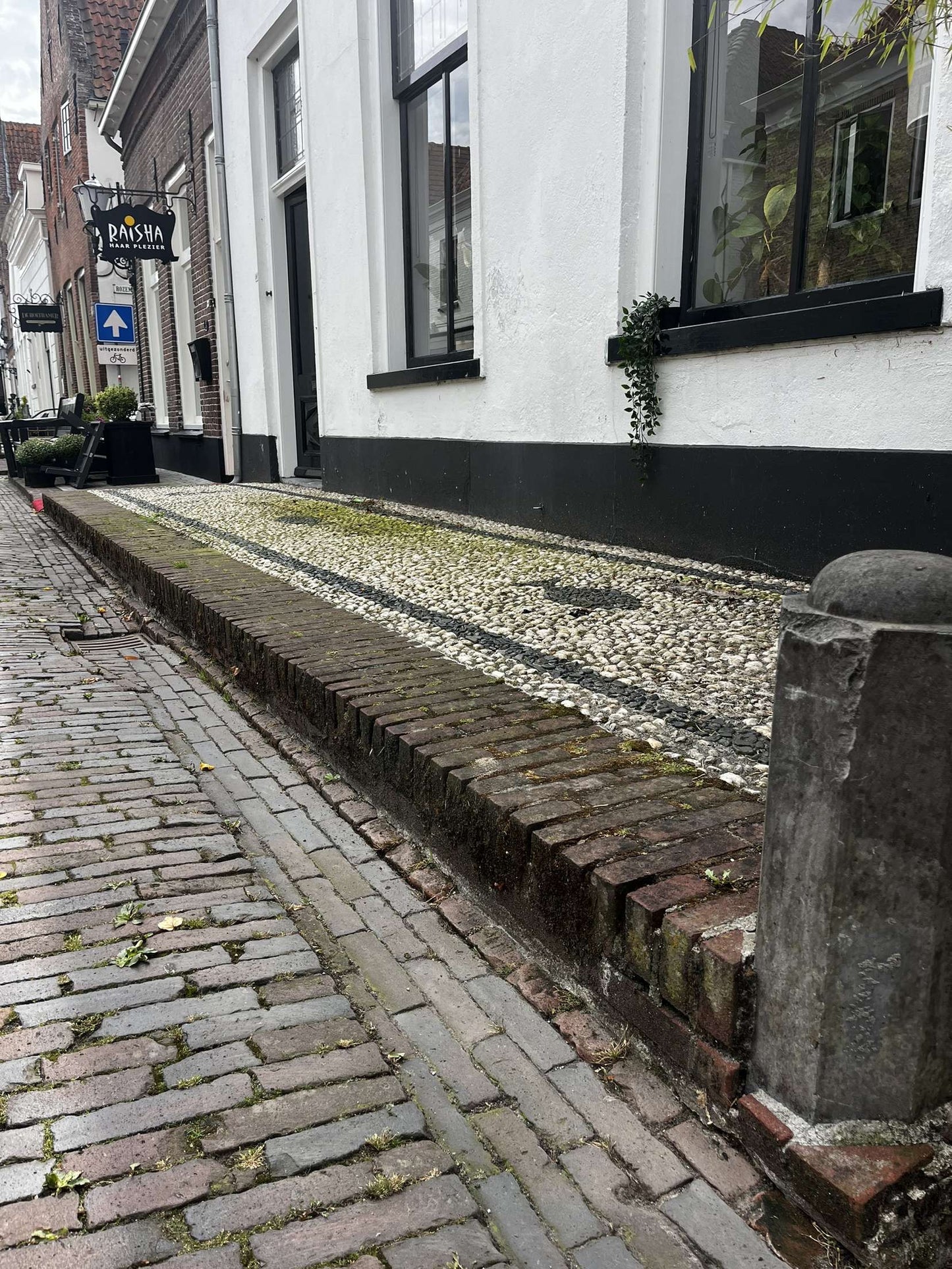 SOFTWASH TERRASREINIGEN