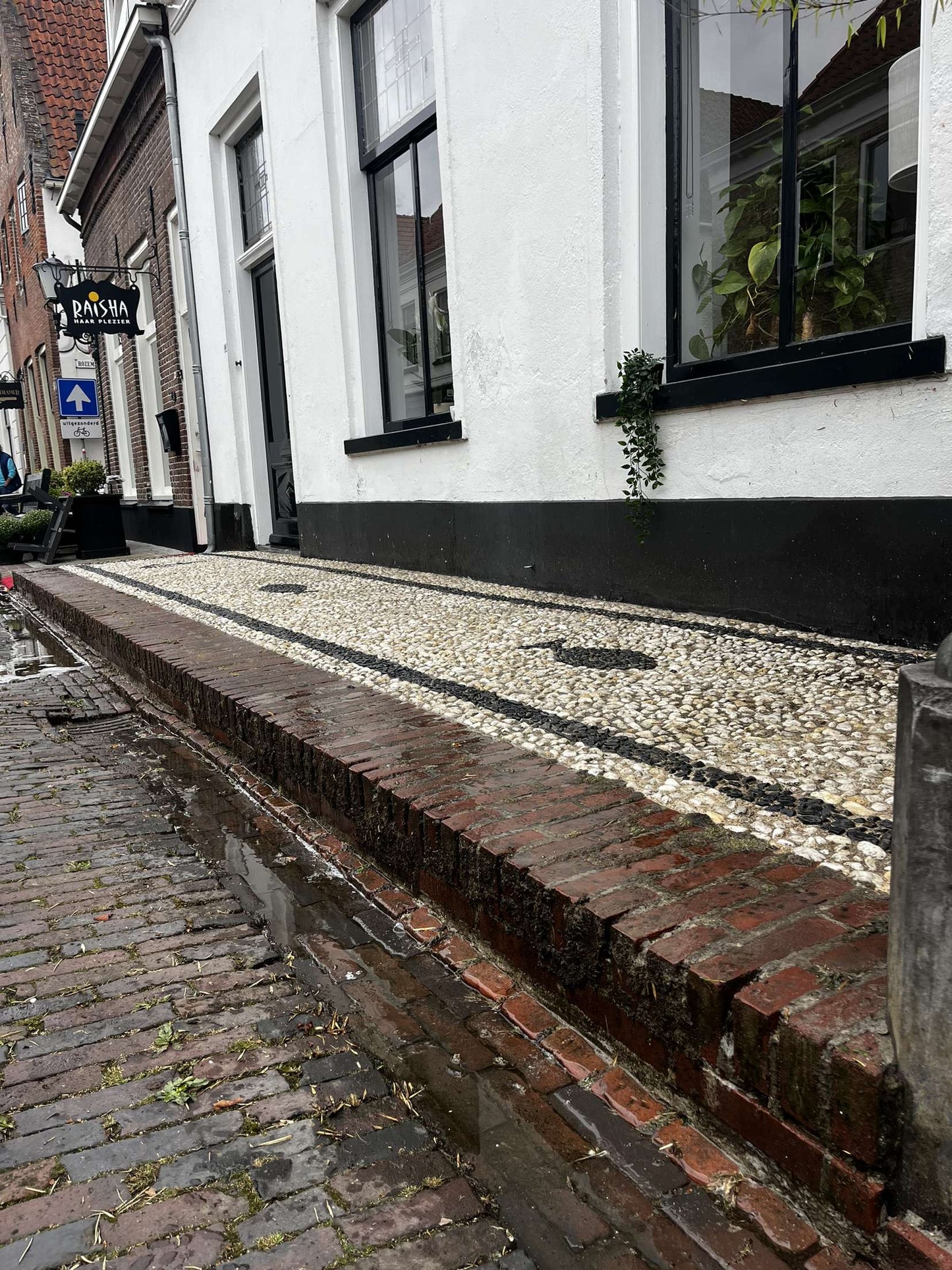 SOFTWASH TERRASREINIGEN