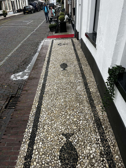 SOFTWASH TERRASREINIGEN