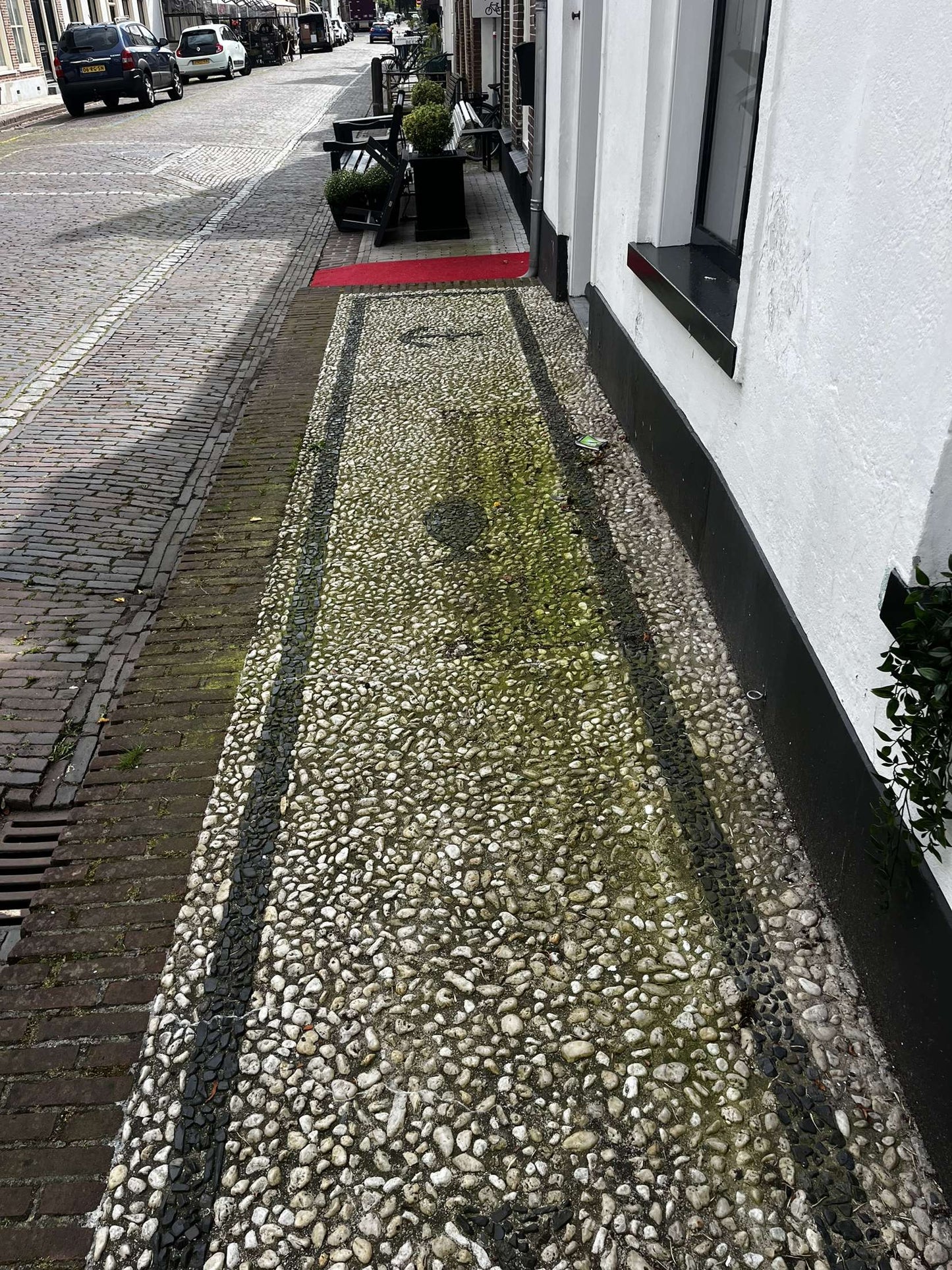 SOFTWASH TERRASREINIGEN